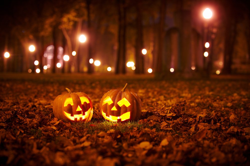 🎃 Happy Halloween! 🎃 We hope you have a spook-tacular day 👻 Have a read of our blog to discover how Halloween in celebrated in different countries: hubs.ly/H0-jzcC0