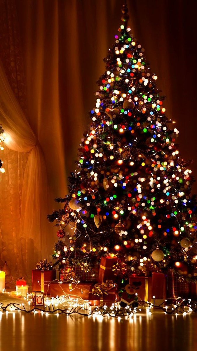 Believe2512's tweet photo. The night before Christmas ...knows all our wishes ✨ #Christmas #wish #inourheart https://t.co/n2WeJwOKqX