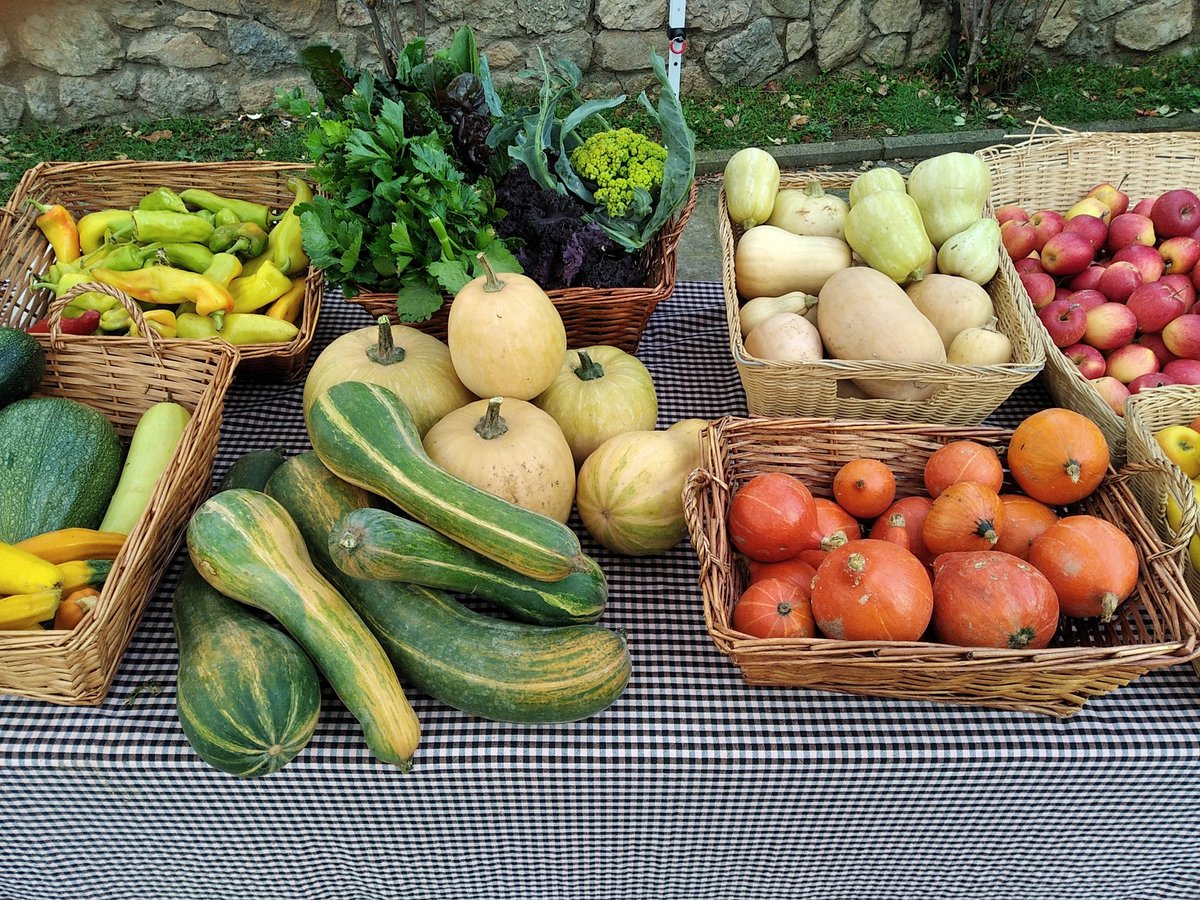 HortadAlcada's tweet photo. Ja estem encarant el final de temporada, ara ja amb productes típics de tardor, en plena fira dels #OusdEuga de Sant Llorenç de Morunys
 #Moniatos #Carbasses #Mercats #Bo #Sa https://t.co/SY0AYEUGUi