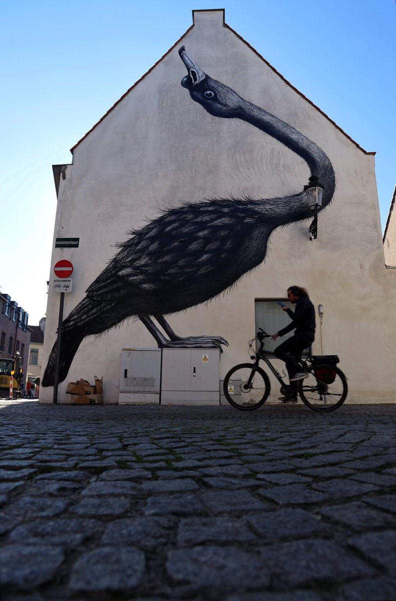 KrieBeLaRT's tweet photo. Roa 4 LegendZ #roa #roabot #legendzbrugge #black #swan #streetart #mural #murals #bird #streetarteverywhere #legendz #bruggeplus #urbanart #roaarchive #streetartphotography @roa_archive @roa_artist @roalovers https://t.co/K0gsKFBWBW