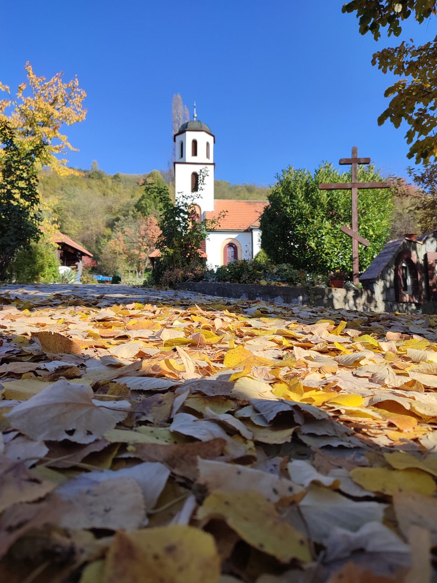 Срђан Ристић (@Srdjan_Ristic_) | Twitter