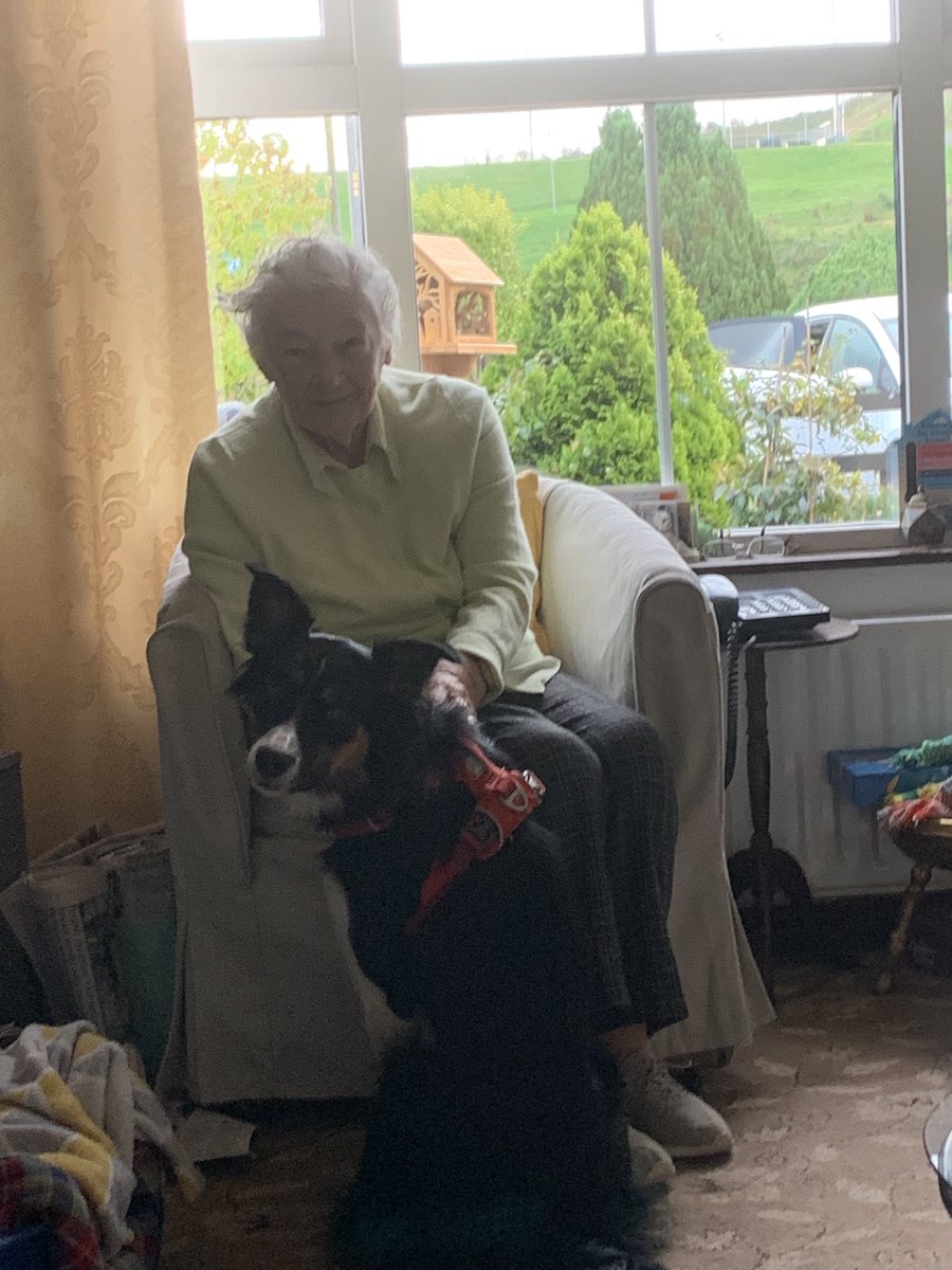 BDevlin1's tweet photo. One of these two stole and ate a whole loaf of sliced bread from the counter last night. Hint* it isn’t my 91 year old mother #NoToast https://t.co/ggoKkzswiA