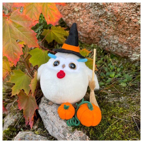Love_0288's tweet photo. @NevSchulman Nev,  today is Halloween 🤘🏻🦇 https://t.co/8dqY1CyeAb