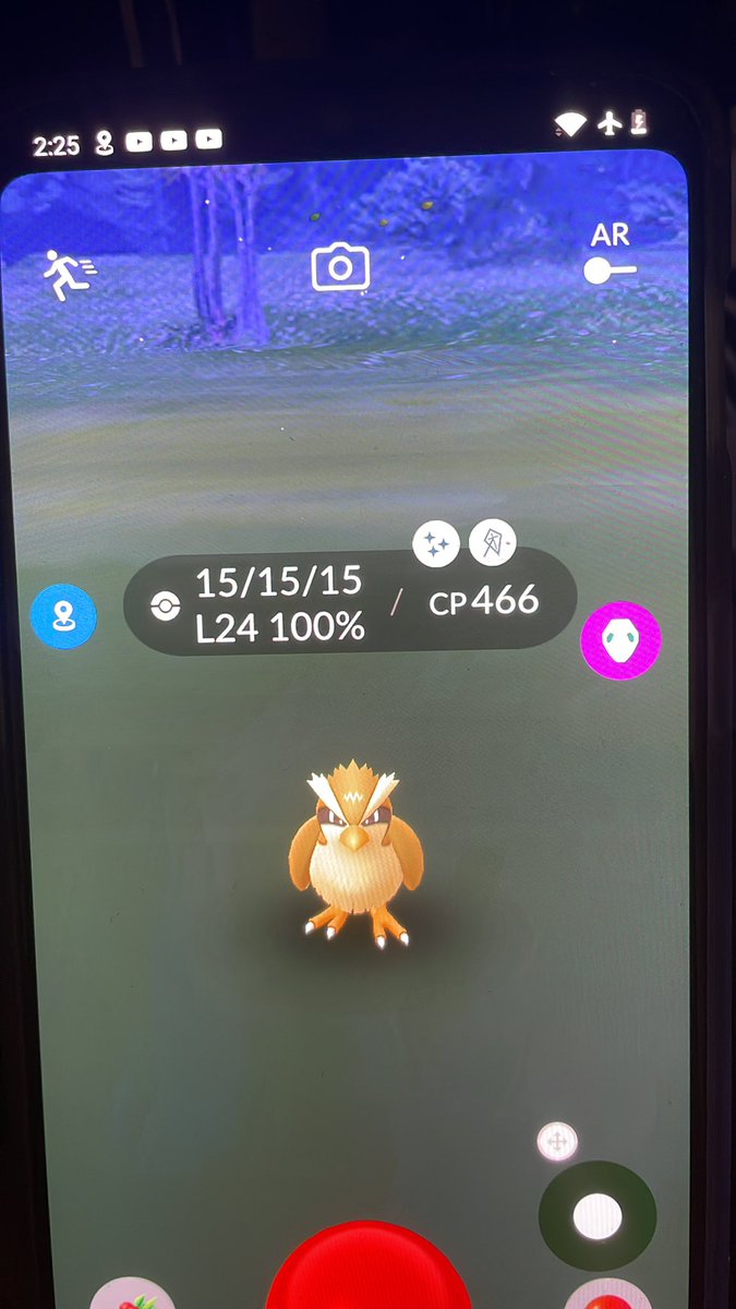 Dario3500's tweet photo. Shundoooooo 🤩 #shundo  #shundohunt https://t.co/atsWtKO9NE