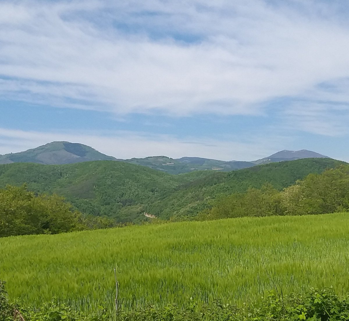 kumgagi's tweet photo. Goč i Željin https://t.co/7TwyjJyv9l