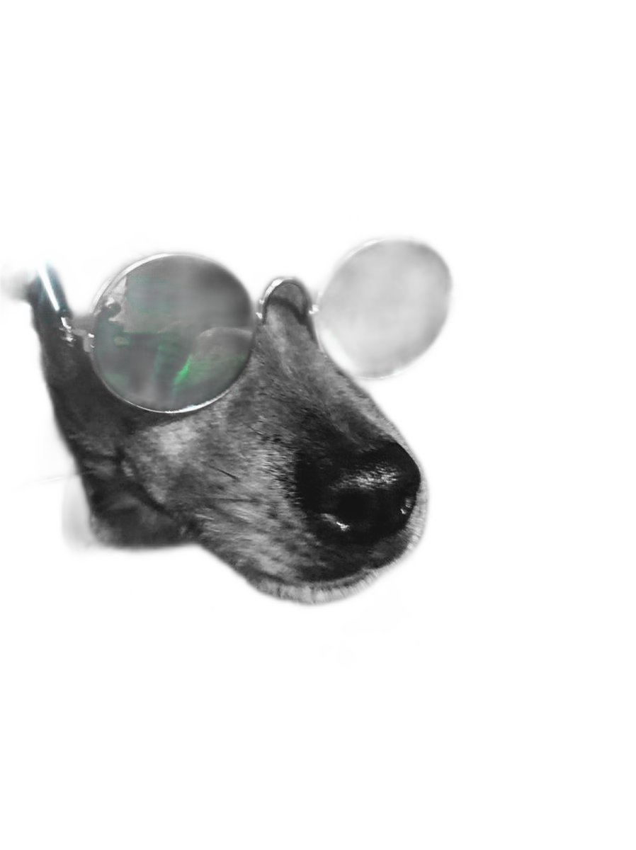 Hotpot Background Remover tweet media