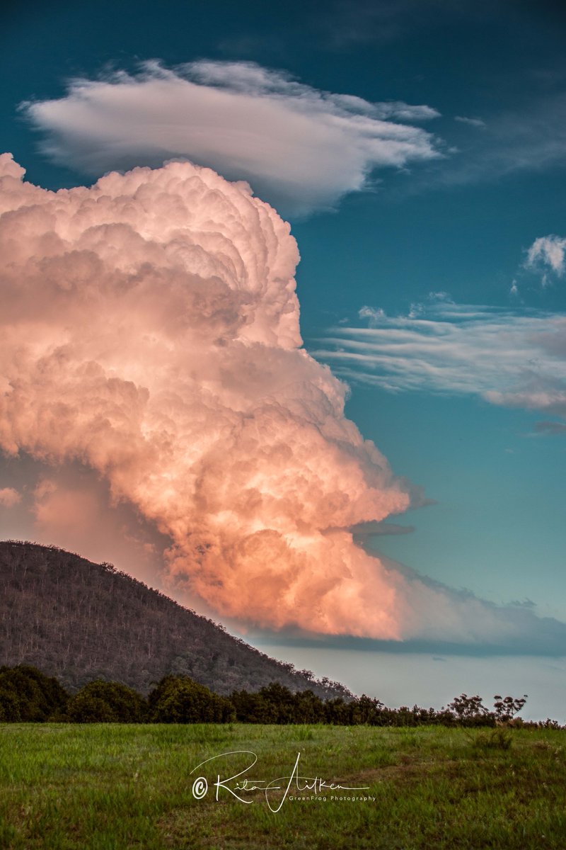 GreenFrogPhotog's tweet photo. Storm clouds building up over Mt Coochin on Saturday afternoon. How cool is this!
@7NewsBrisbane @TonyAuden @Queensland @sunshinecoastoz #stormseason @StormHour https://t.co/yGeR5jrh3n