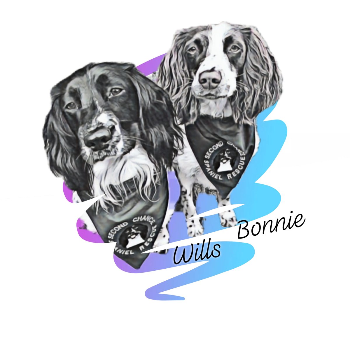 jellygnomes's tweet photo. New goals... Fundraiser for Second Chance Spaniel Rescue.. I've been experimenting with these.  Digi drawings  #fundraiser #spanielrescue https://t.co/lzCkzwrAo7