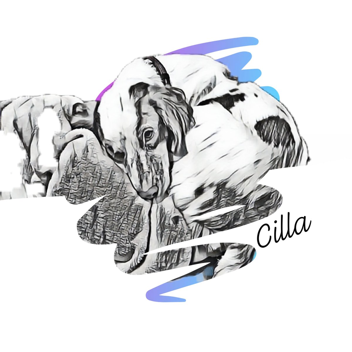 jellygnomes's tweet photo. New goals... Fundraiser for Second Chance Spaniel Rescue.. I've been experimenting with these.  Digi drawings  #fundraiser #spanielrescue https://t.co/lzCkzwrAo7