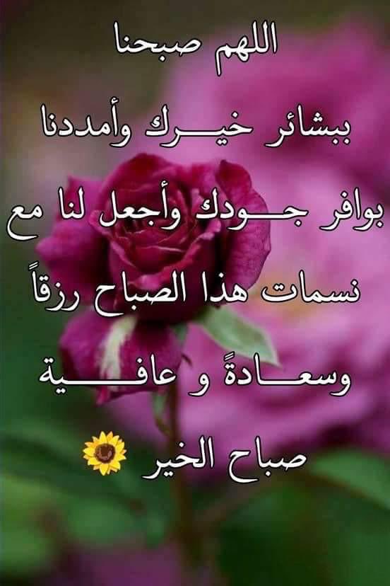 غيوض🦋 (@atheeeer2011) on Twitter photo 