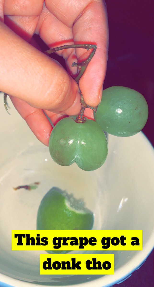ReinaCrochets's tweet photo. What can I say? Big donk’s just #follow me around. #bigbooty #humor #fruitsupport #supportbigbootyfruit https://t.co/q1fc5hsOK5