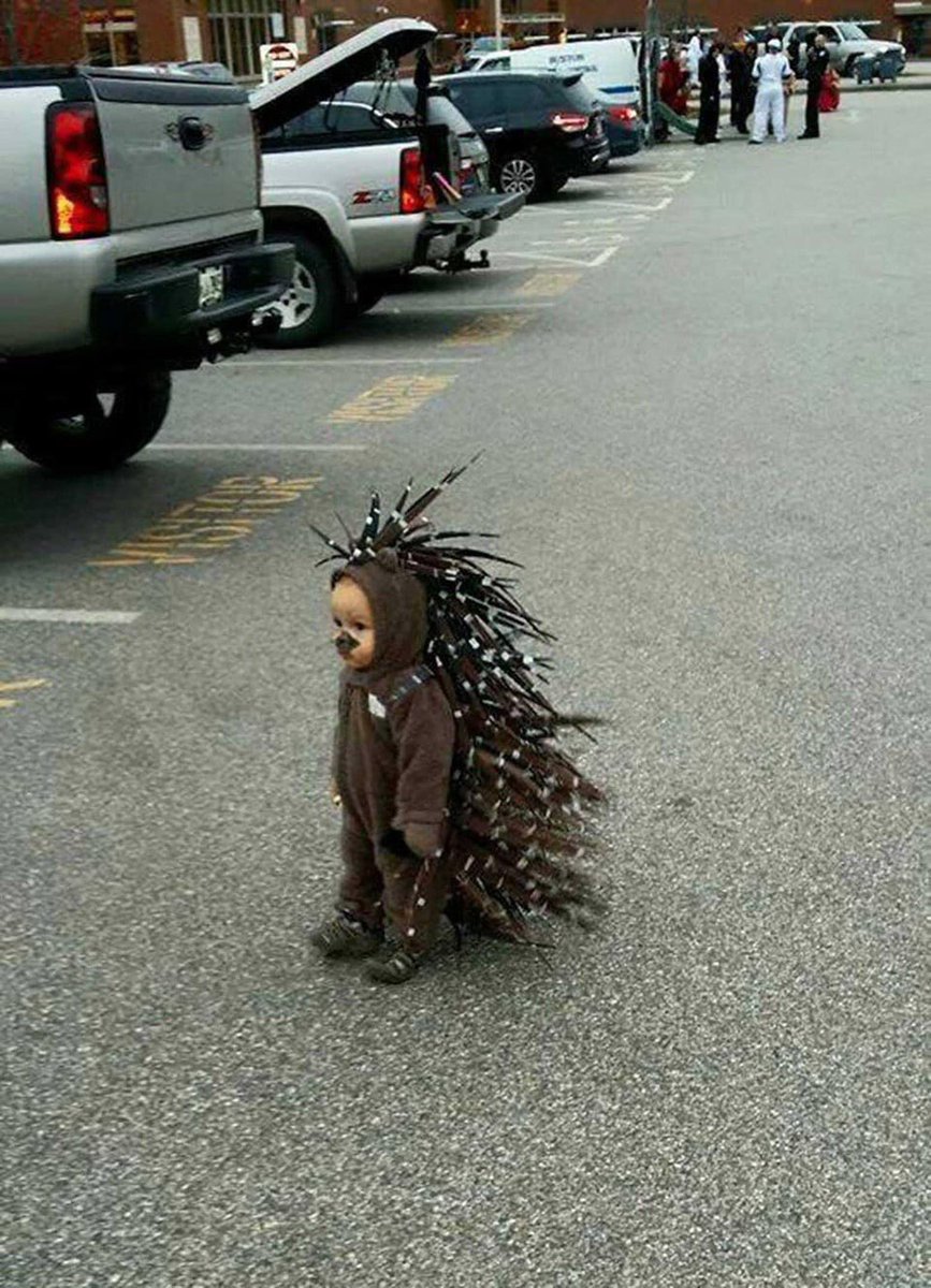 JGnuman197's tweet photo. Little prick https://t.co/6syzGHR1Wi