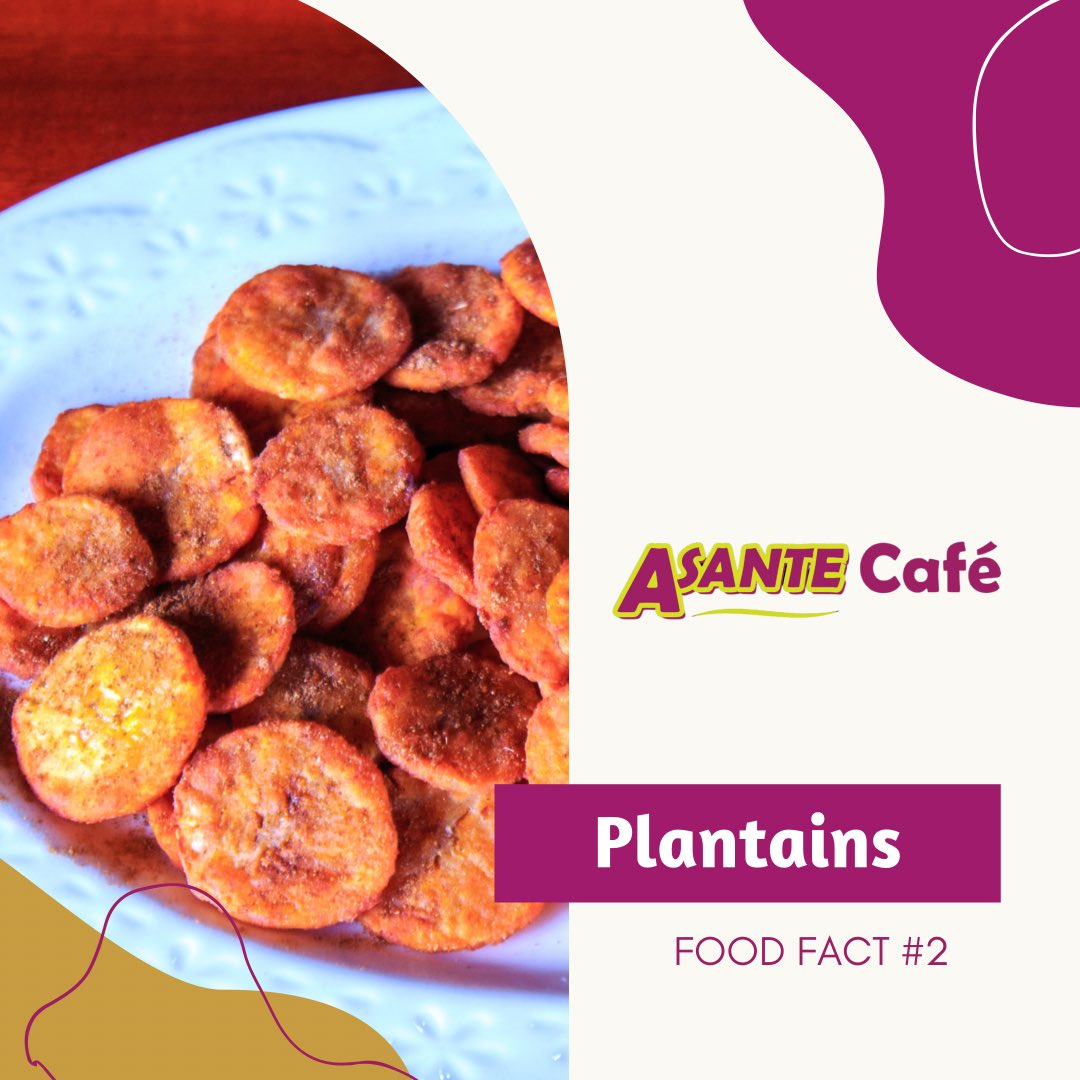 asantecafe256's tweet photo. Plantains are a carb-rich food and a good source of fiber, vitamins, and minerals. They also contain antioxidants and good levels of vitamin C, that can also support immune function. Likewise, their vitamin B6 content may reduce cardiovascular risk and improve mood. https://t.co/rIUcRs1zbN