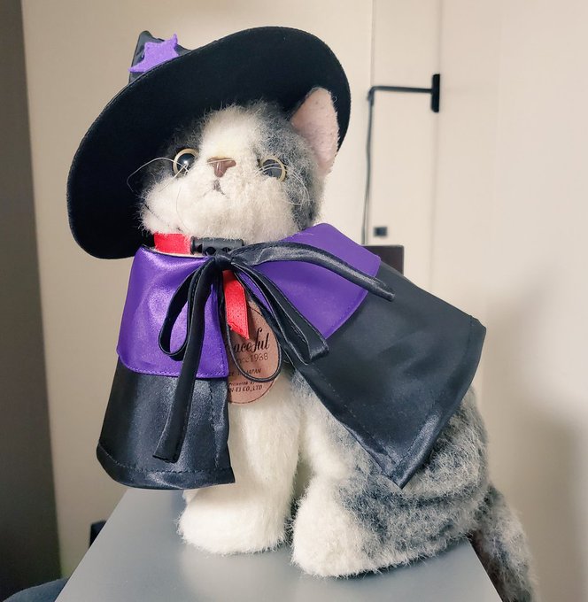 猫のぬいぐるみをハロウィン仕様にしてみた🎃 