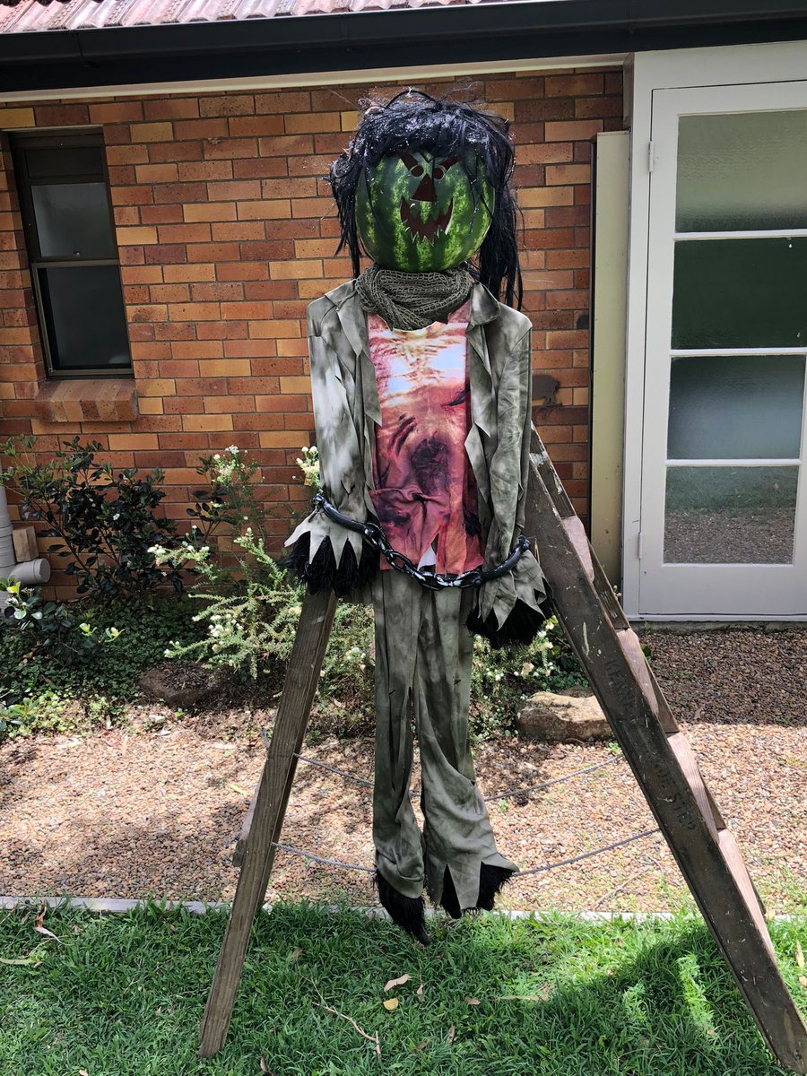 ChileeNFT's tweet photo. Blooming trick or treaters… we caught one and made an example of them #halloween #TrickOrTreat https://t.co/eLdJpwudjt