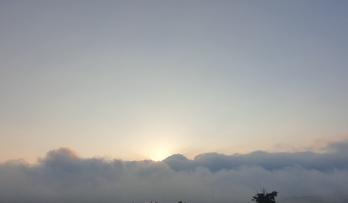 التكبر بي وديك لطريقك مسكر
الاعتراف بالغلط منو ضعف بالعكس بنظر الغير بتكبر...🌾
#احلى_صباح_الخير