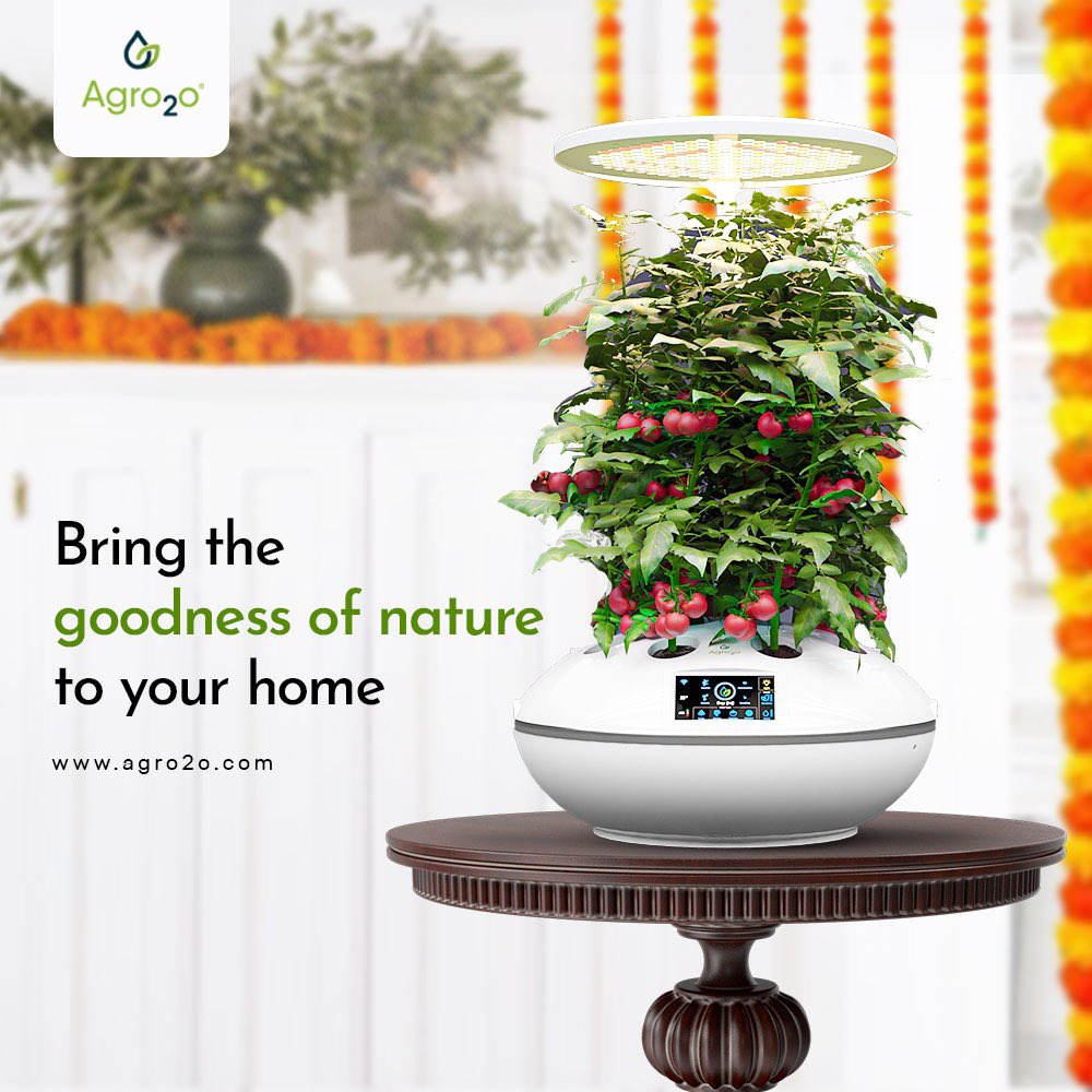Agro2o_'s tweet photo. Keep your passion for gardening and a healthy lifestyle with @agro2o Smart Garden 

🌱Easy to grow
🌱No sunlight required
🌱No GMO's &amp; preservatives

A Diwali Gift for yourself that is easy to set up &amp; truly keeps on growing 
#agro2o #garden #hydroponics #farming #plantbasedfood https://t.co/huIJAaG813