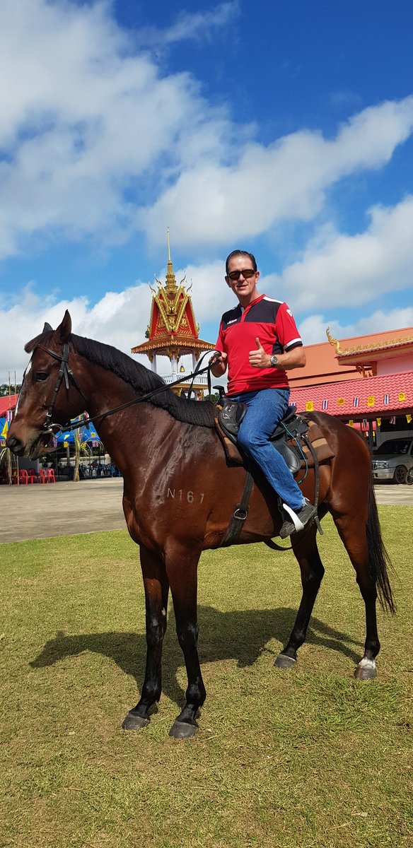 Katareya2006's tweet photo. On this auspicious day I was invited to Ban Kha Kom Buddhist Temple to show my Horse. Father is from #America and Mother from #thailand Sir Lancelot is one of the tallest Stallions in North East Thailand #Isaan #Thailand #horses
#ubom https://t.co/4Es1IfHBDj