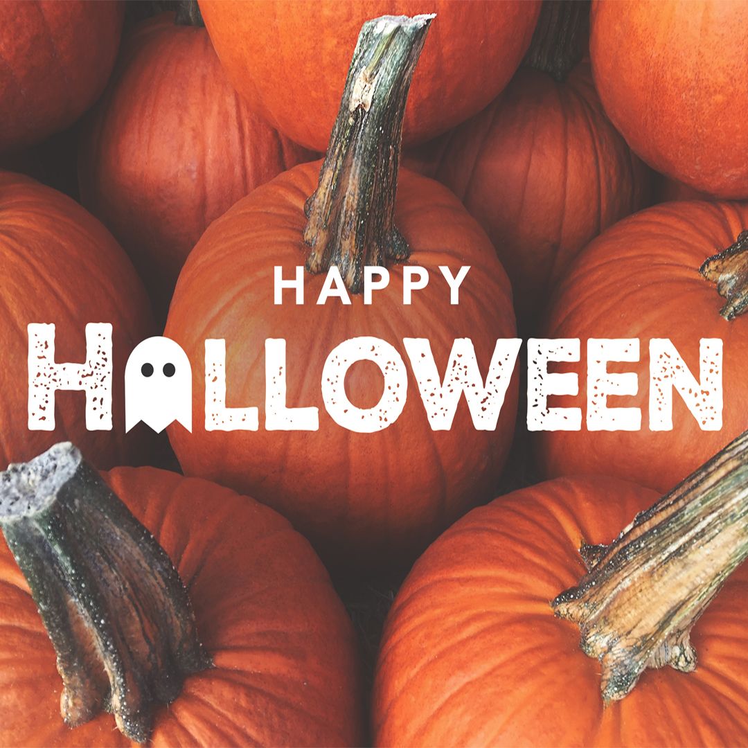 LifeSproutBio's tweet photo. Happy &amp; Healthy Halloween to all 🎃 https://t.co/nMVC0lLoHf