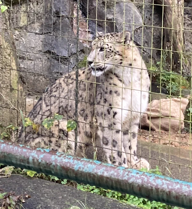 汝〜!己が存在を自らに問え〜!♡ 