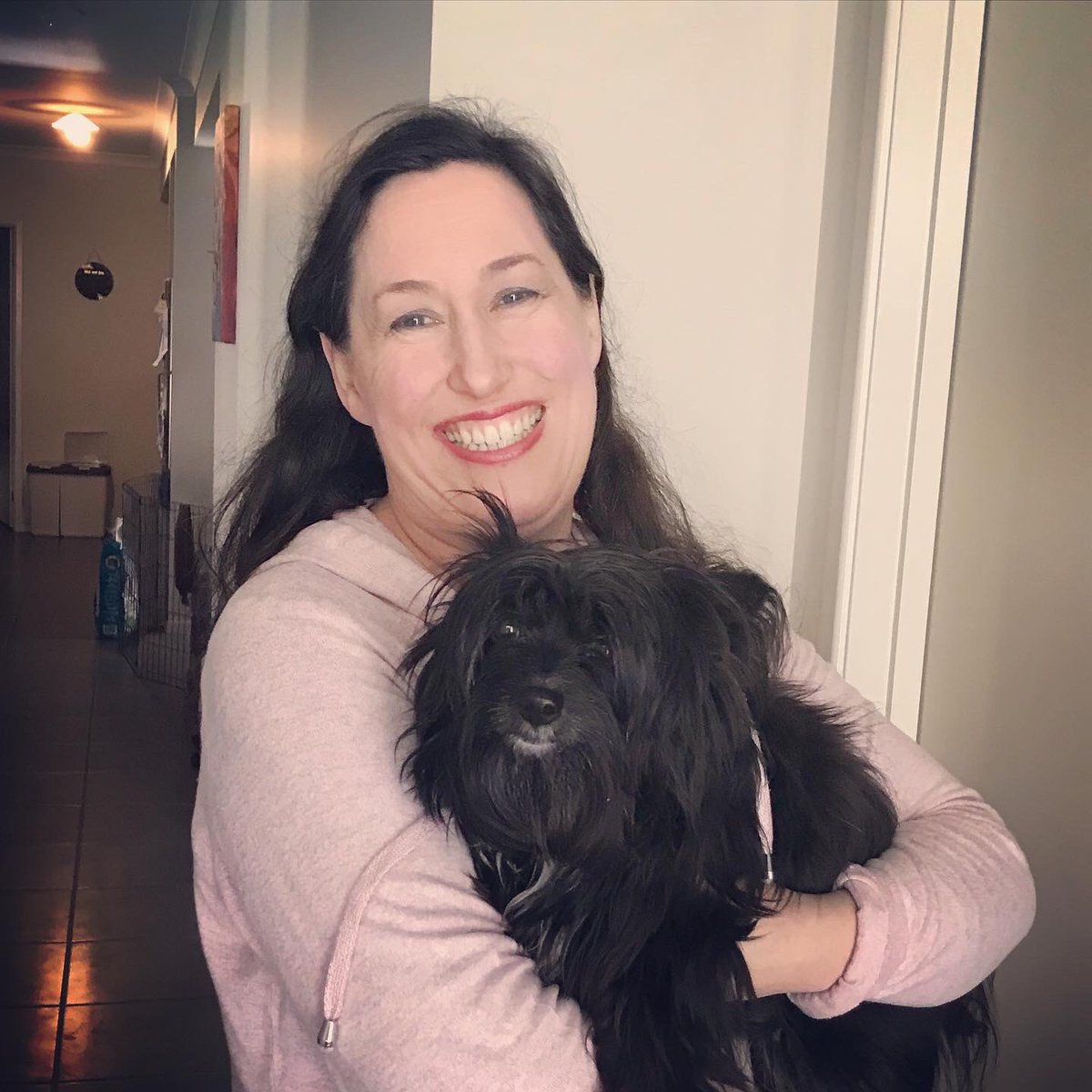 Always so hard to get a photo of this fluff ball Sheba #dogs #dogslife #sheba #silkyterriercross