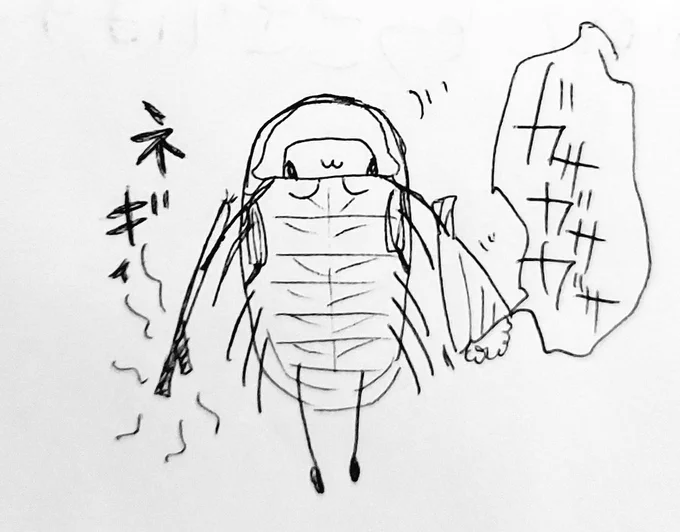 鞄に入れきらんかった上に花も買うとこうなるから買い物するときは気を付けた方がいいよね。 