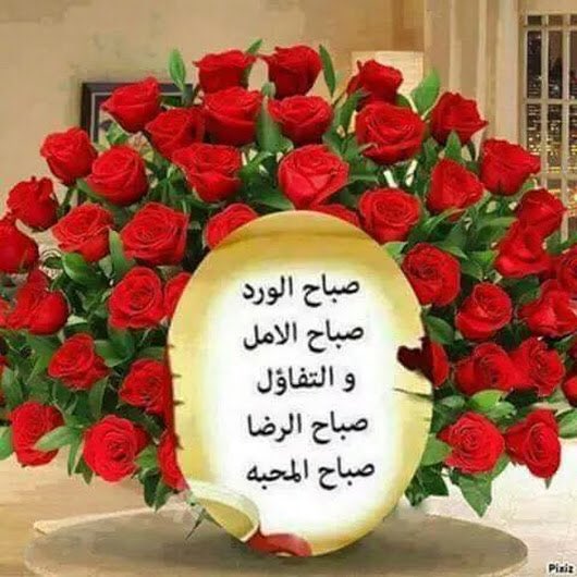 hamadd11223's tweet photo. @Musicte32632786 https://t.co/vN8VUX3DyE