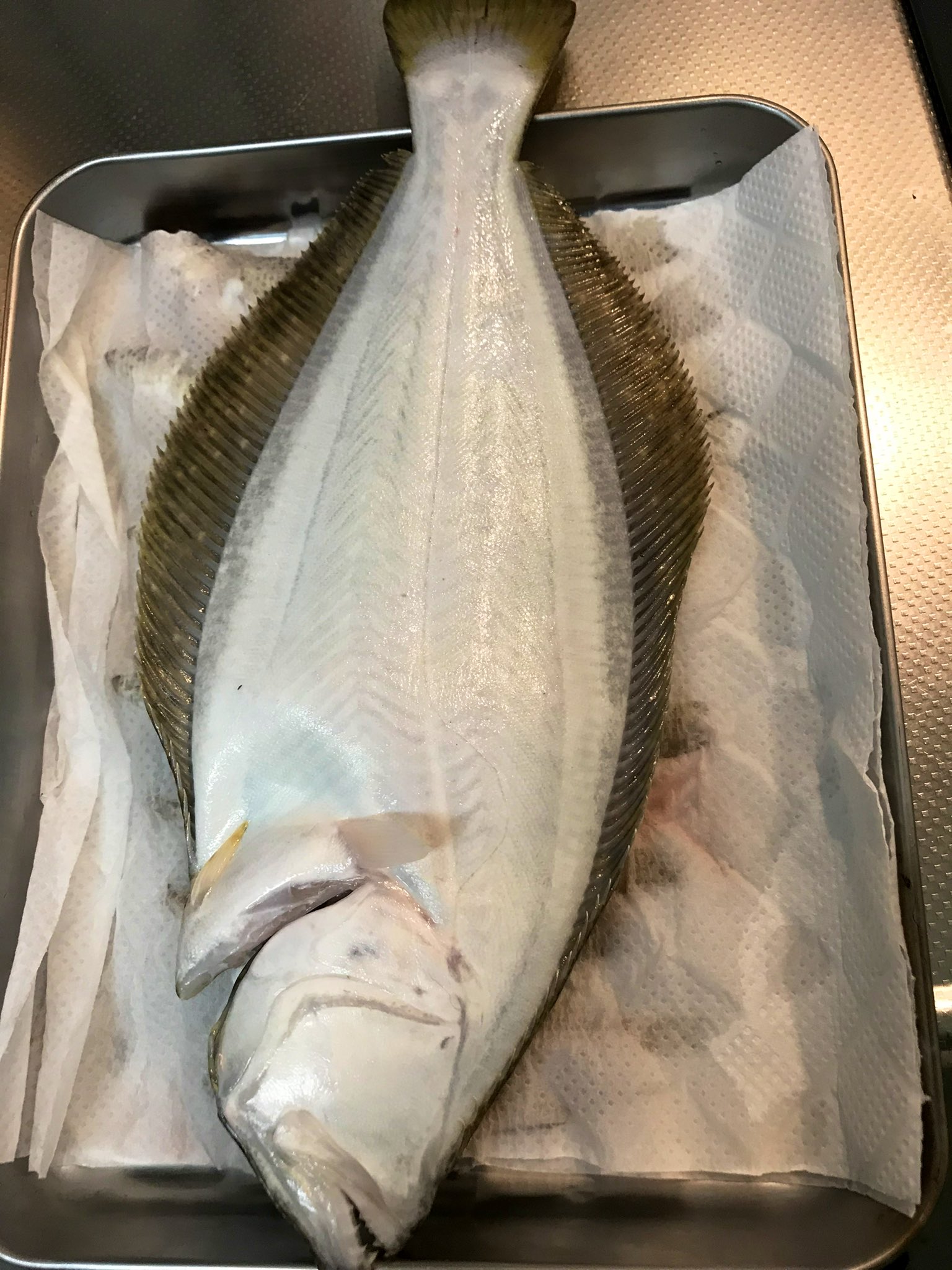 超熱 ✨釣り好きにはたまらない✨暗闇で光るスプレーアート✨世界に一