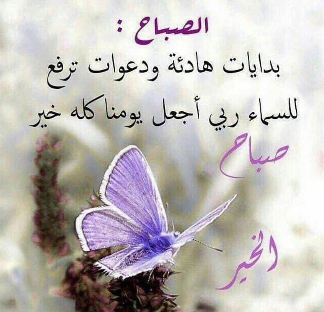 Z39UGfEldQY01uL's tweet photo. @Musicte32632786 https://t.co/2zTYPVd1fA