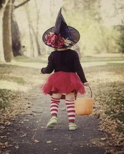 MRita Gallozzi tweet media