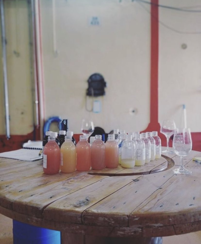 FORTANT_EN's tweet photo. Backstage !
#maisonfortant #fortant #winery #winemaker #fortantdefrance #languedocwine #harvest #tastepaysdoc #paysdocigp https://t.co/P9VXimGobG