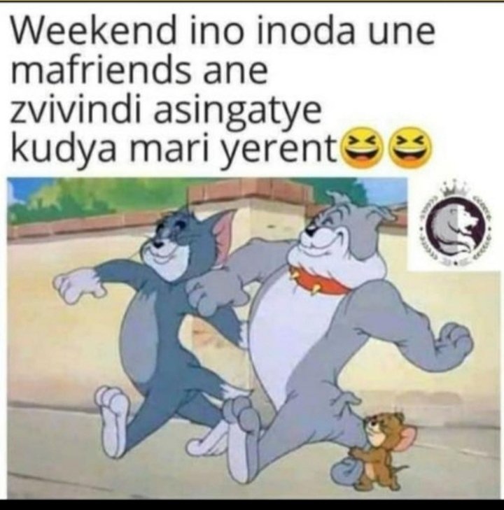 Property Advertising Zw tweet media