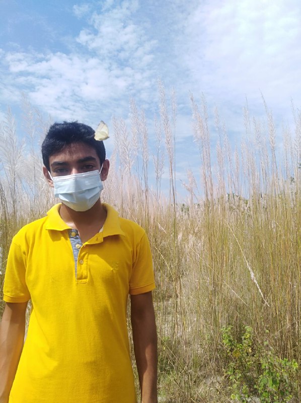 realalif9's tweet photo. https://t.co/URveOTXXSA