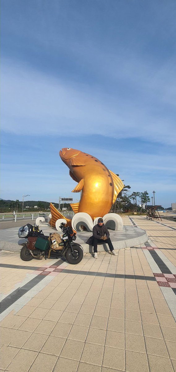 줌머 🛵 타고 속초 물치항 ^^
여기도 나에게는 추억이 있는곳 ~
