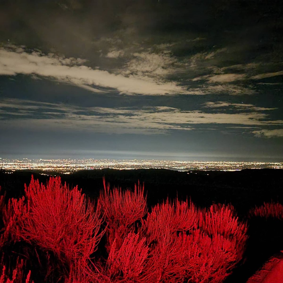 dtlb10's tweet image. City of Boise looking beautiful.  View from Bogus Basin. #nofilter #Boise #cityoftrees #ilovemycity