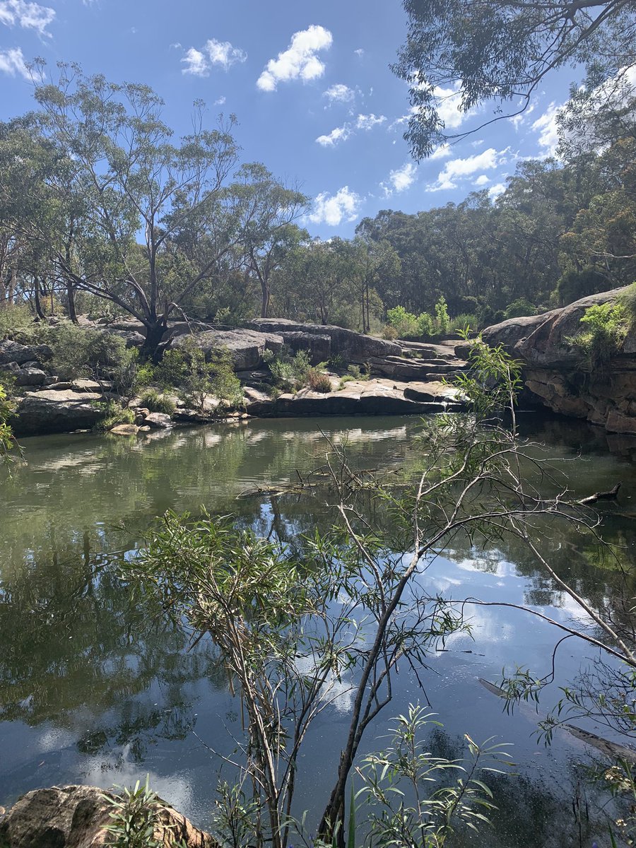 RebeccaKerron's tweet photo. Some time to connect to country and reflect! So grateful for this amazing place! https://t.co/5HR9x0YsHB