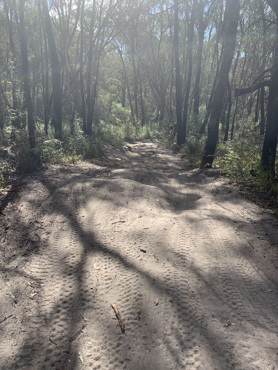 RebeccaKerron's tweet photo. Some time to connect to country and reflect! So grateful for this amazing place! https://t.co/5HR9x0YsHB