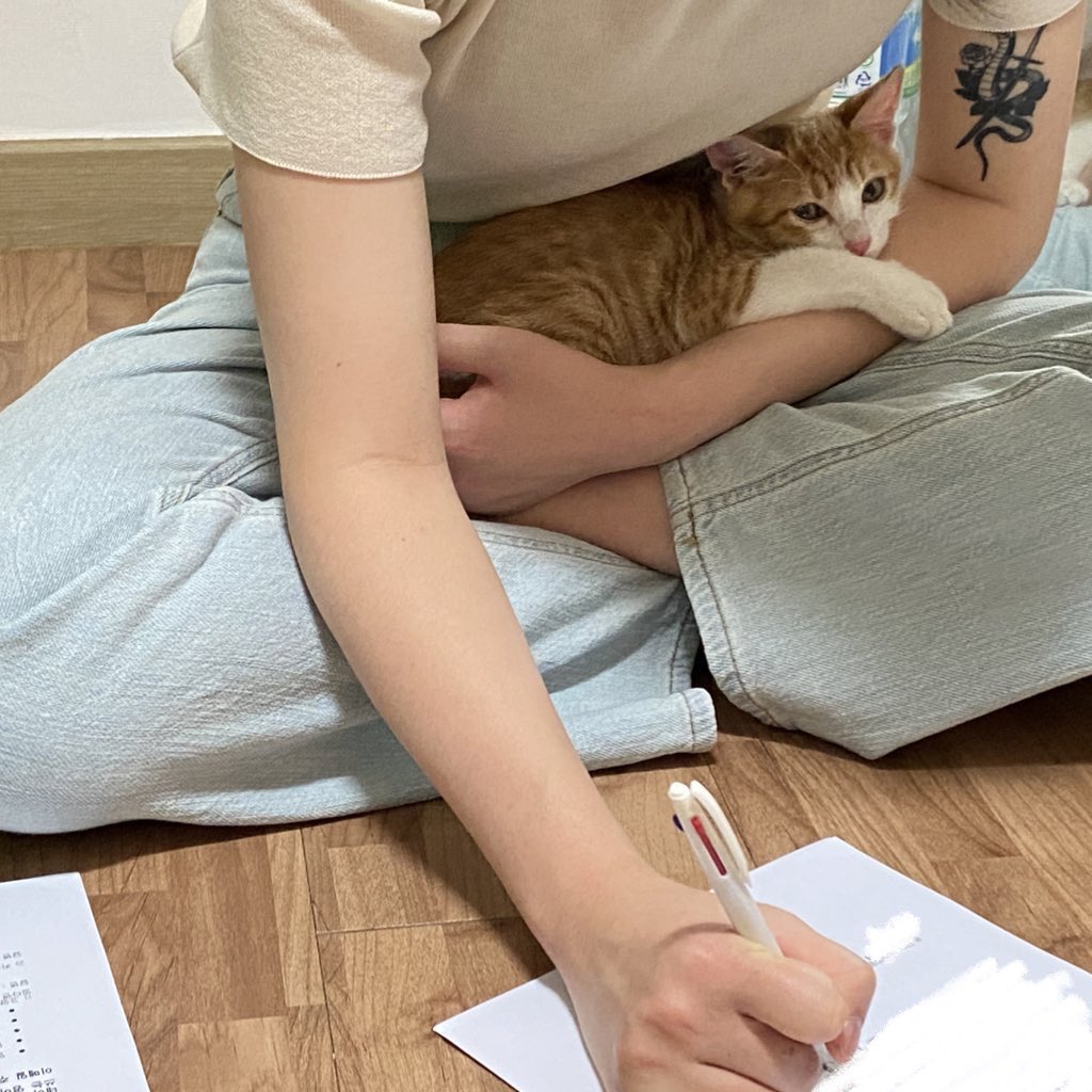 saintmillthecat's tweet photo. 오늘 밀이는 평생 함께할 어먀를 만났습니다! 처음 만났는데도 품에 안겨서 떨어지지 않으려 하고, 팔을 꼭 붙잡고 편안하게 잠이 들었어요🥺 울지도, 떨지도 않고 착붙! 
 (사진은 자신의 입양 확정서를 쓰는 것을 보는 밀🌾) https://t.co/EZ4Xlpr79u