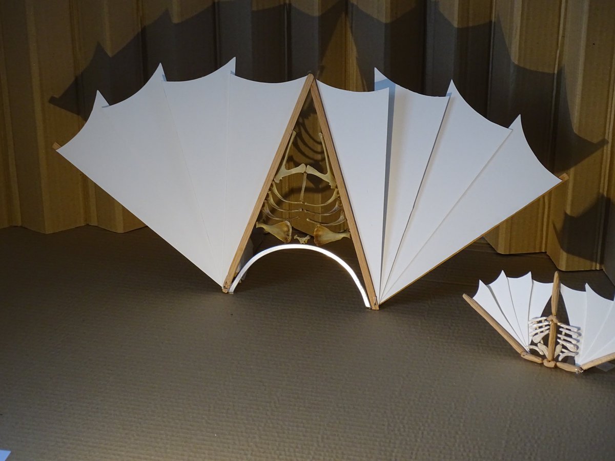 Worshipful Company of Fan Makers tweet media