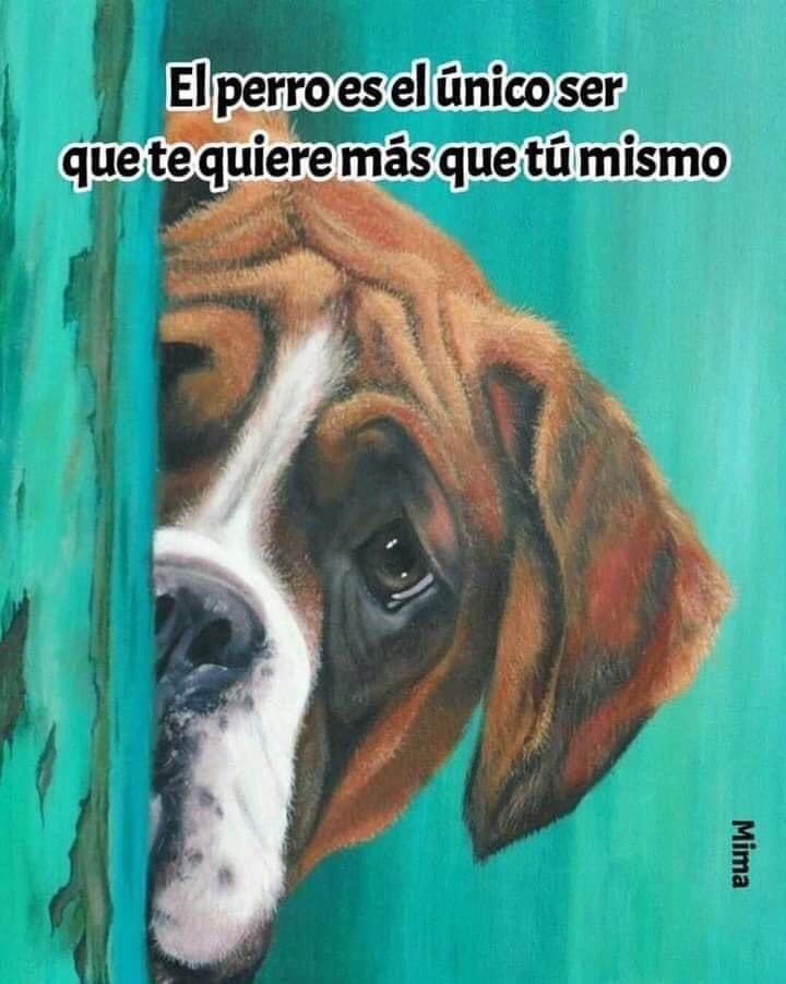 XaviGarB's tweet photo. Feliz domingo! https://t.co/0vRxbmkJZT
