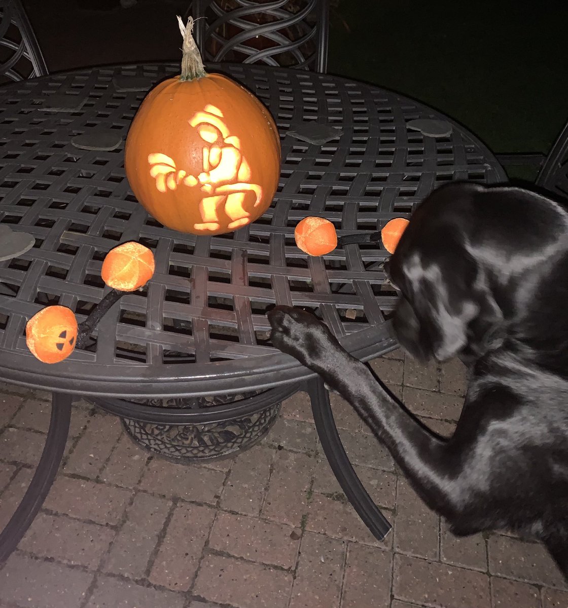 We’re ready for #Halloween 🎃👻🧙‍♀️🕷Do you like our special #pumpkin? 🤗

Please remember to use battery powered candles to light your pumpkins instead of tea lights. If this isn’t possible, keep children & pets safe around candles. 
#halloween2021 #HalloweenSafety #HalloweenDogs