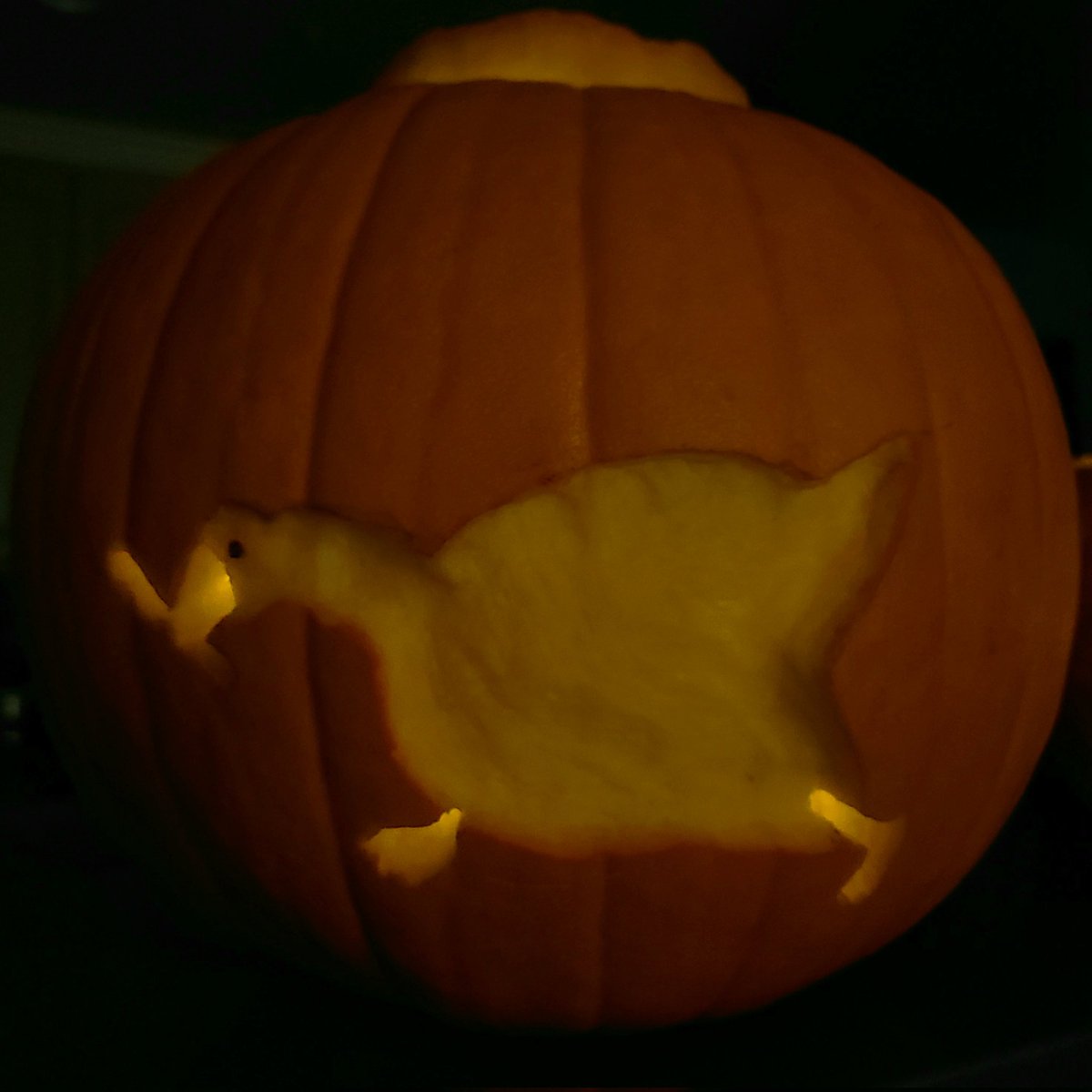 merunicorn's tweet photo. press y to honk https://t.co/a5fxWMzplG