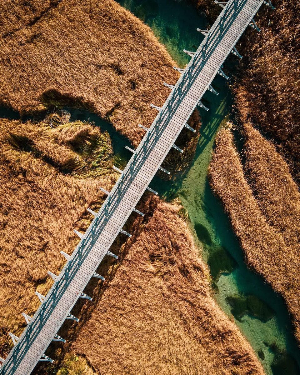 KranjskaGora's tweet photo. “Let's build bridges, not walls.”
– Martin Luther King, Jr. 😊
.
.
.
📸 @tavcar99
.
.
.
#bridge #zelenci #podkoren #ratece #kranjskagora #julianalps #mojaslovenija #ifeelsLOVEnia 💚 https://t.co/RG0kgbHm3v