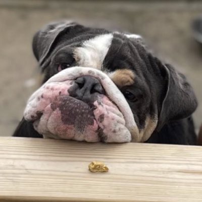 Reeves77Scott's tweet photo. #NewProfilePic https://t.co/BMSV6wBmGb