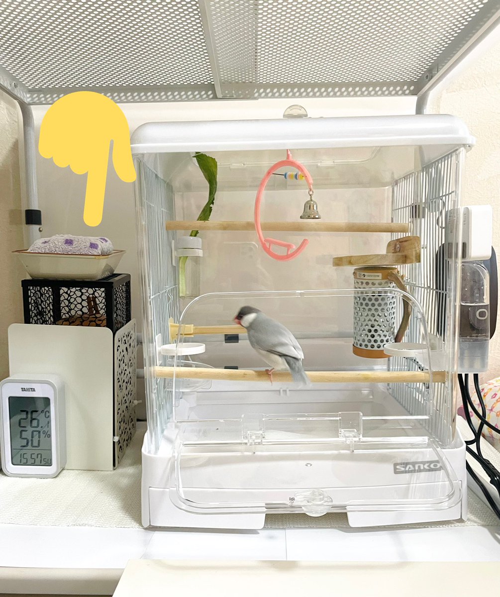 アクリルケージ内に60Wの保温電球を追加しました💡 本体がかなり熱く