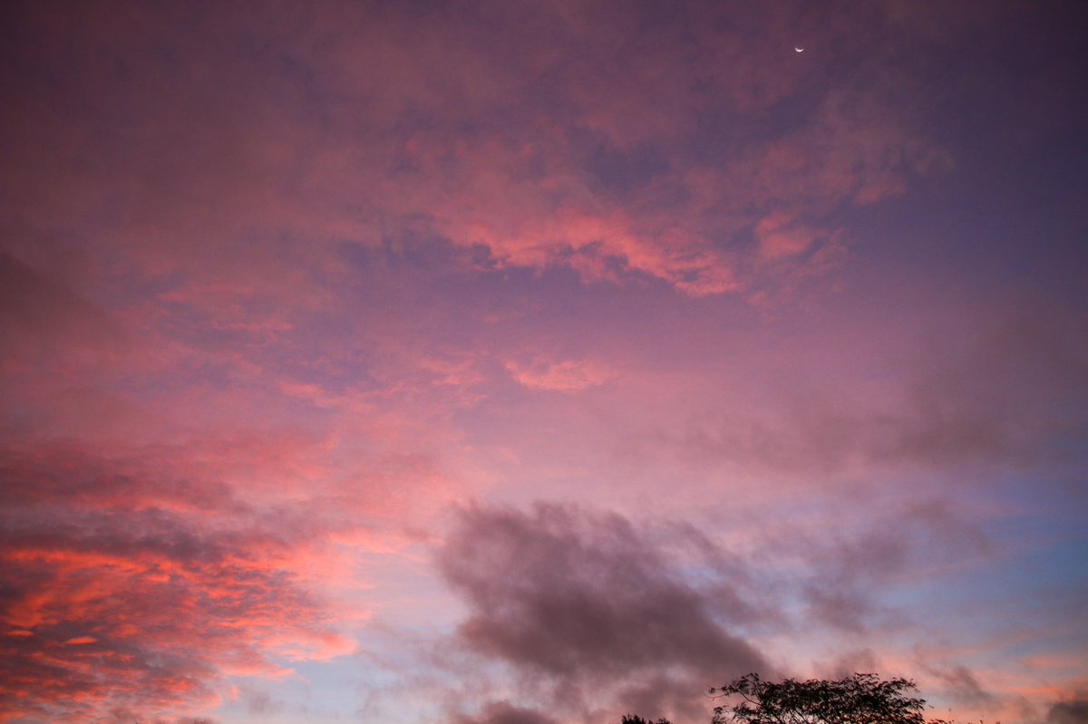 verorion85's tweet photo. 💜💙💖🧡 Ce ciel ce matin ....
des nuages bas balayés par le vent, un croissant de Lune dans un ciel rose et bleu 😍
Dernier jour d’#OctobreRose 🎀
#crepuscule #ciel #nuages #meteo85 https://t.co/ooscGh1EeN