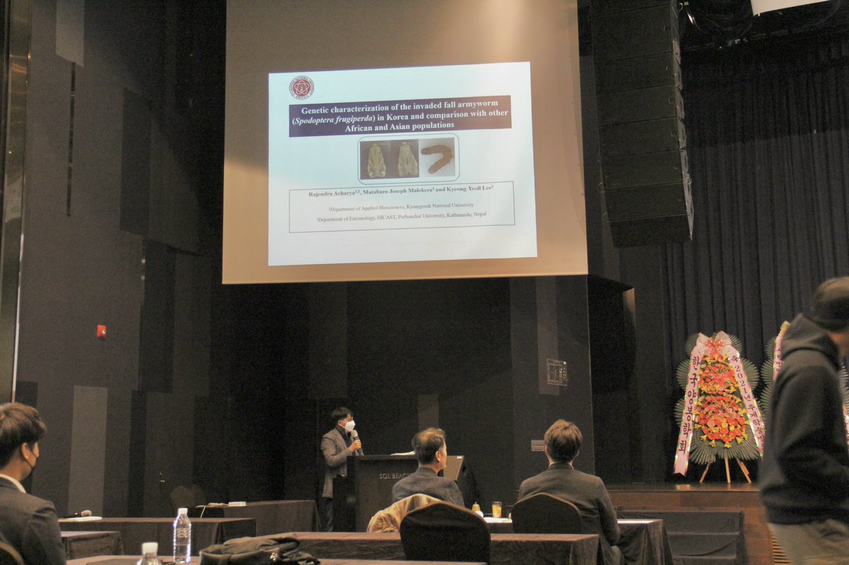 Rajendra_Ento's tweet photo. Oral presentation at #2021_Fall_International_Conference of Korean Society of Applied Entomology #KSAE #Fall_armyworm #Genetic_diversity #Africa #Asia #Korea https://t.co/kXlwYc0TUe