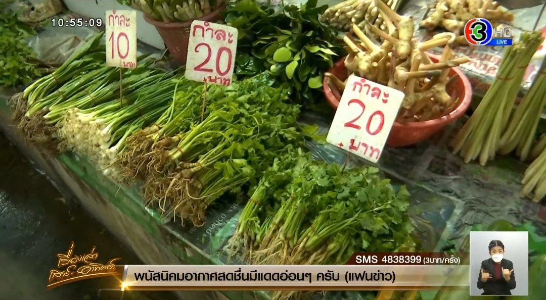 บอล ธนวัฒน์ วงค์ไชย tweet media