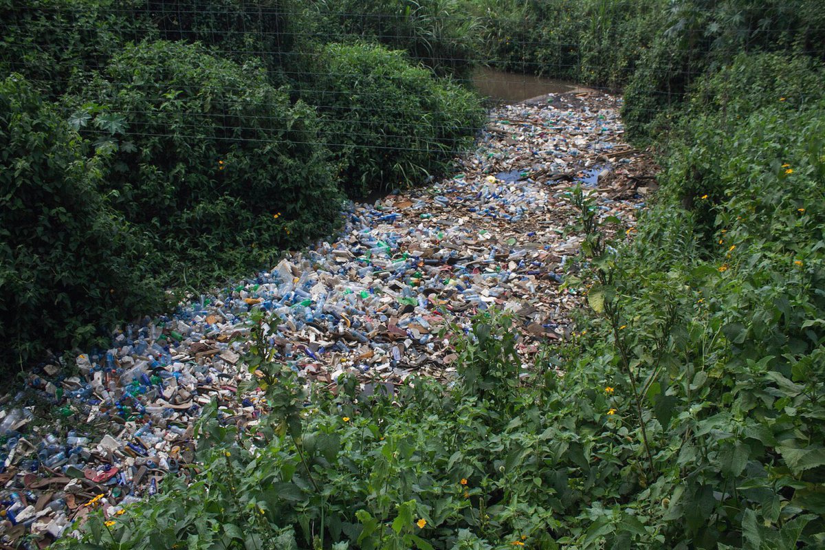 ecogallego's tweet photo. Esta foto del río Njoro camino a su desembocadura en el lago Nakuru (Kenia)… Esta maldita foto. Estamos plastificando el planeta!!! #PlasticDetox https://t.co/FeucVHpIns