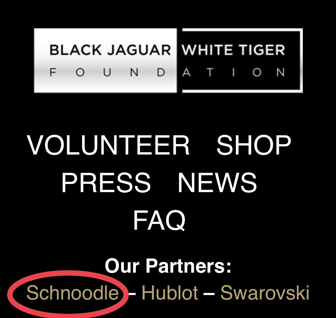 TakeshisReturn's tweet image. $SNOOD starts some bigger marketing soon and will also get promoted by their partner Black Jaguar White Tiger Foundation which has 7M followers on Insta and many celebs who support the project. This is just the beginning. And staking is imminent.
